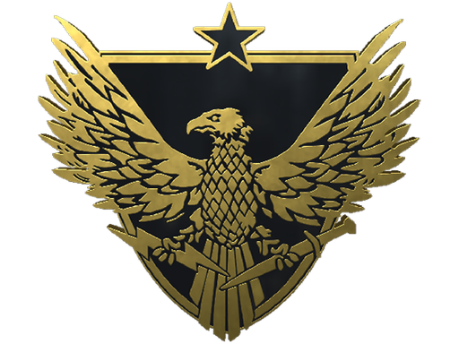 Buy CS2 collectible Brigadier General Pin skin