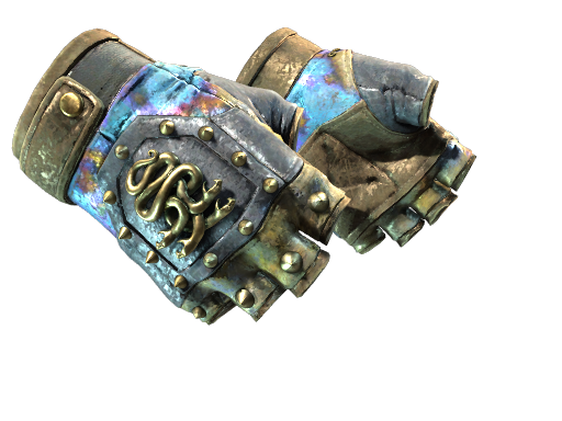 Buy CS2 gloves ★ Hydra Gloves | Case Hardened (Battle-Scarred) skin