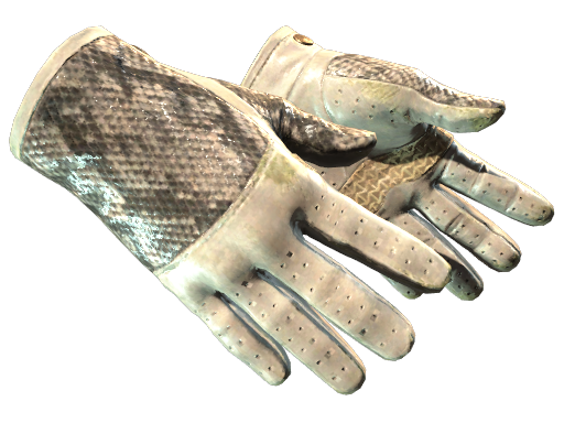 Buy CS2 gloves ★ Driver Gloves | King Snake (Well-Worn) skin