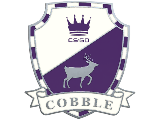 Buy CS2 collectible Cobblestone Pin skin
