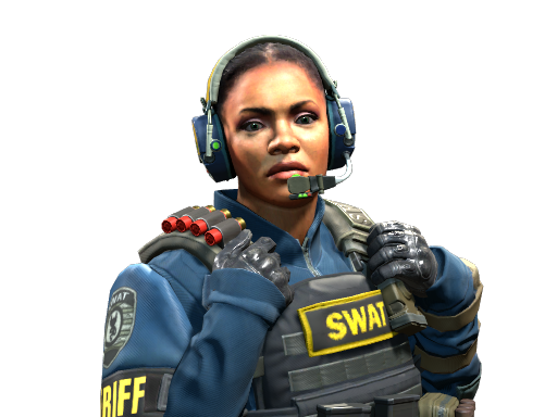 Buy CS2 agent Cmdr. Mae 'Dead Cold' Jamison | SWAT skin