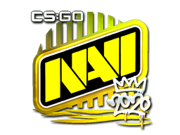 Buy CS2 sticker Sticker | Natus Vincere (Foil) | 2020 RMR skin