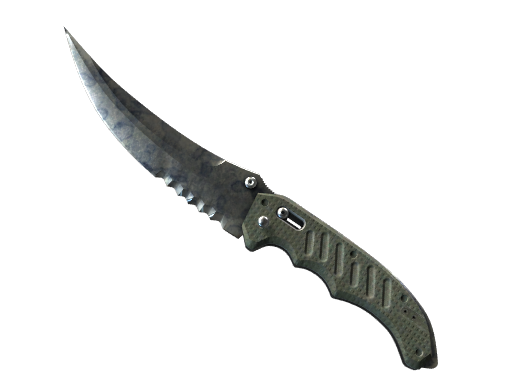 Buy CS2 knife ★ StatTrak™ Flip Knife | Stained (Well-Worn) skin