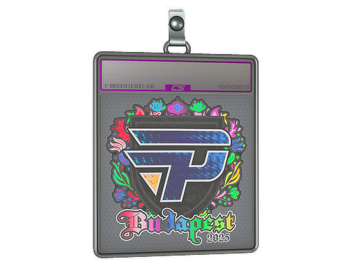 Buy CS2 charm Sticker Slab | paiN Gaming (Holo) | Budapest 2025 skin