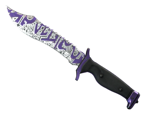 Buy CS2 knife ★ StatTrak™ Bowie Knife | Freehand (Well-Worn) skin