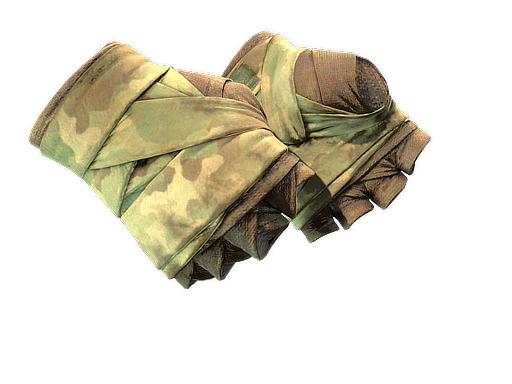 Buy CS2 gloves ★ Hand Wraps | Arboreal (Battle-Scarred) skin