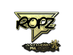 Buy CS2 sticker Sticker | ropz (Gold) | Antwerp 2022 skin