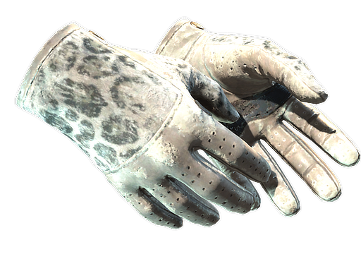 Buy CS2 gloves ★ Driver Gloves | Snow Leopard (Battle-Scarred) skin
