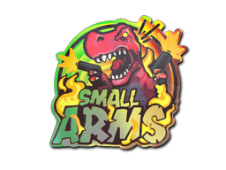 Buy CS2 sticker Sticker | Small Arms (Holo) skin