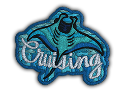 Buy CS2 patch Patch | Cruising Ray skin