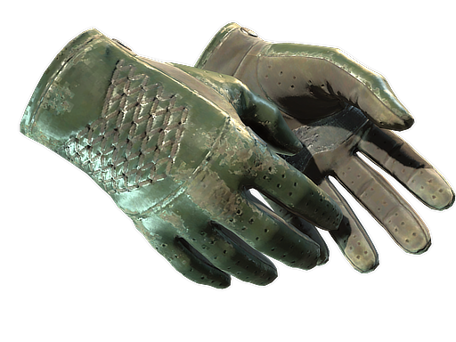 Buy CS2 gloves ★ Driver Gloves | Racing Green (Battle-Scarred) skin