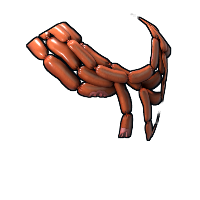 Buy Rust hide poncho Sausages Poncho skin