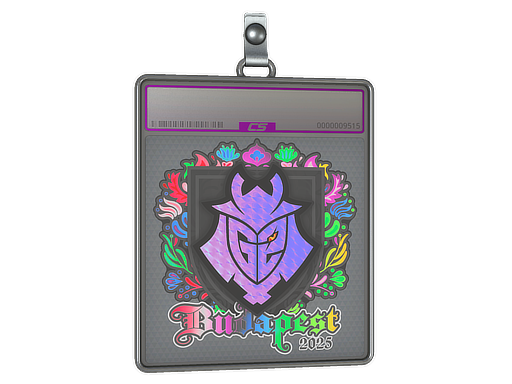 Buy CS2 charm Sticker Slab | G2 esports (Holo) | Budapest 2025 skin