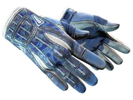 Buy CS2 gloves ★ Sport Gloves | Amphibious (Battle-Scarred) skin