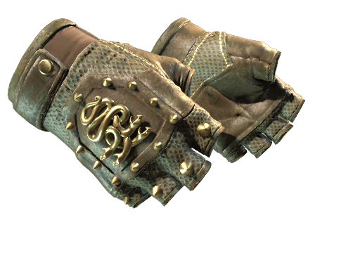 Buy CS2 gloves ★ Hydra Gloves | Mangrove (Well-Worn) skin