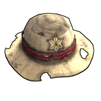 Buy Rust clothing Cowboy Hat skin