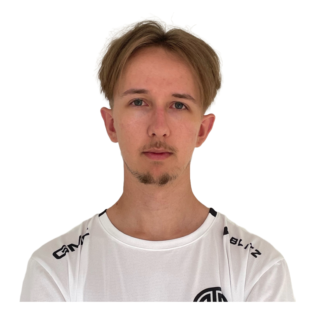 Buy Dota 2  Glitter Ari Player Sticker - TI 2023 skin