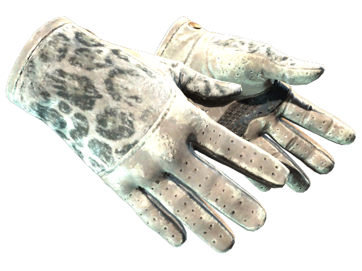 Buy CS2 gloves ★ Driver Gloves | Snow Leopard (Battle-Scarred) skin