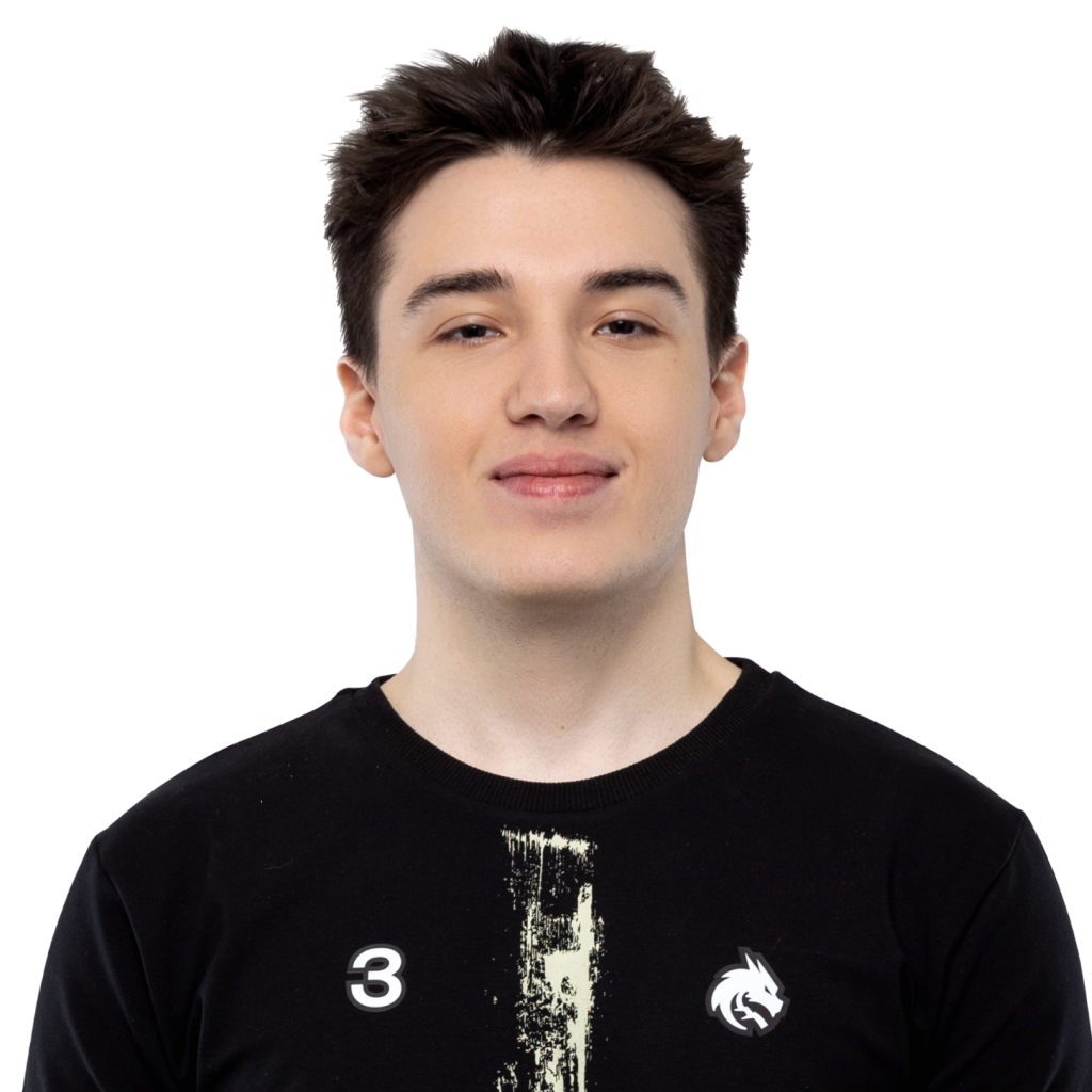 Buy Dota 2 sticker Collapse Player Sticker - TI 2025 skin