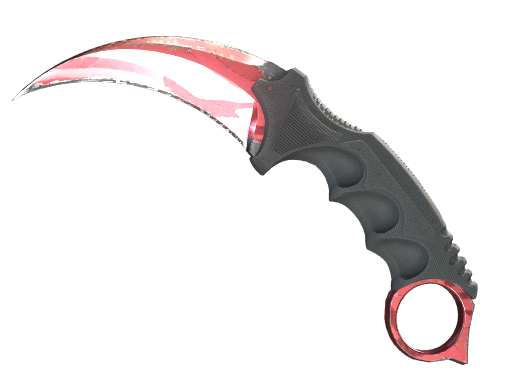 Buy CS2 knife ★ StatTrak™ Karambit | Slaughter (Field-Tested) skin