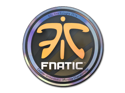 Buy CS2 sticker Sticker | Fnatic (Holo) | Cologne 2014 skin