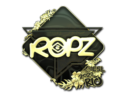Buy CS2 sticker Sticker | ropz (Gold) | Rio 2022 skin