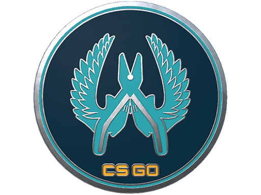 Buy CS2 collectible Guardian Pin skin