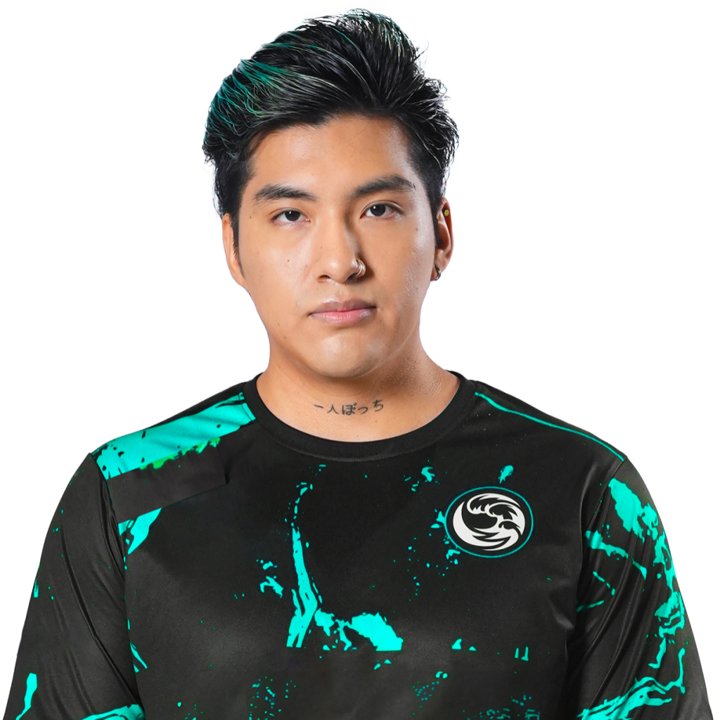 Buy Dota 2  stingeR Player Sticker - TI 2023 skin