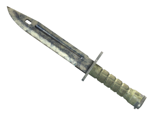 Buy CS2 knife ★ StatTrak™ Bayonet | Stained (Battle-Scarred) skin