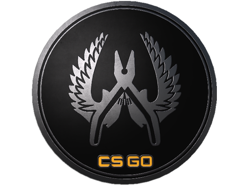 Buy CS2 collectible Guardian Elite Pin skin