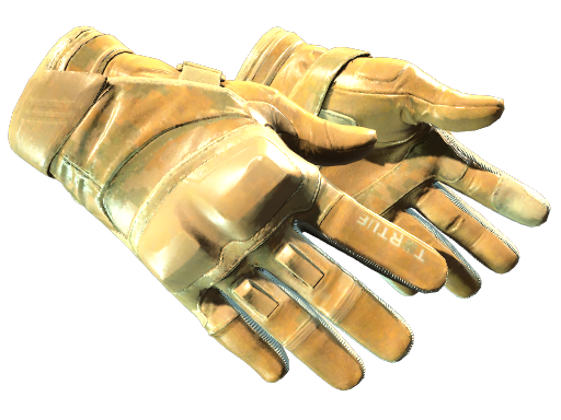 Buy CS2 gloves ★ Moto Gloves | Transport (Minimal Wear) skin
