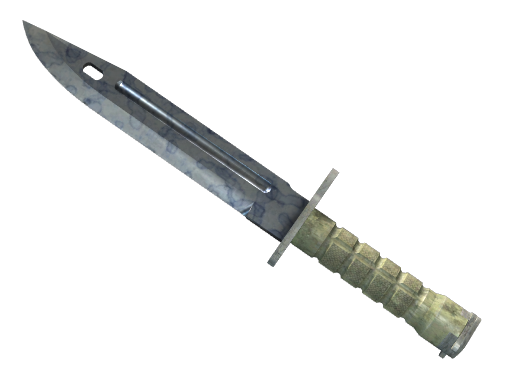 Buy CS2 knife ★ Bayonet | Stained (Minimal Wear) skin