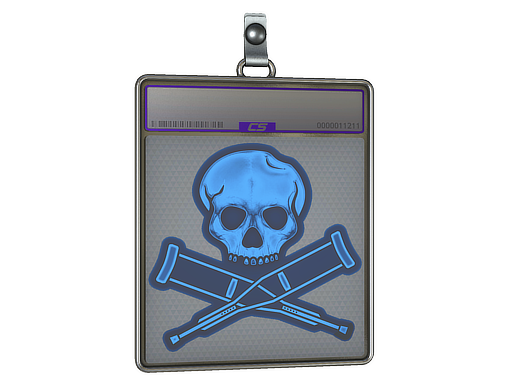 Buy CS2 charm Sticker Slab | Radiograph (Holo) skin