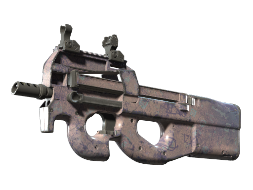 Buy CS2 smg Souvenir P90 | Wash me (Well-Worn) skin