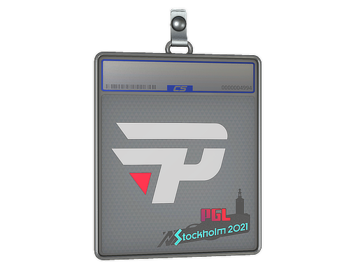 Buy CS2 charm Sticker Slab | paiN Gaming | Stockholm 2021 skin