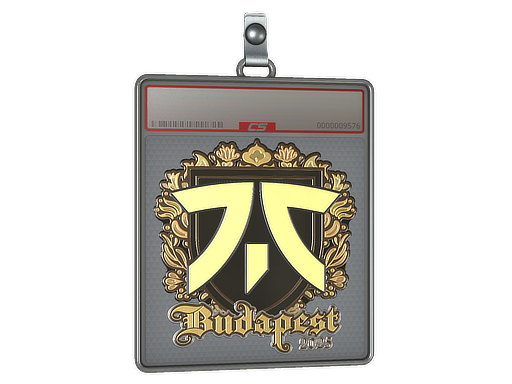 Buy CS2 charm Sticker Slab | fnatic (Gold) | Budapest 2025 skin