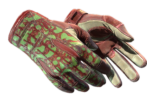 Buy CS2 gloves ★ Sport Gloves | Bronze Morph (Field-Tested) skin