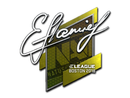 Buy CS2 sticker Sticker | flamie | Boston 2018 skin