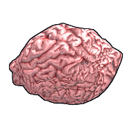 Buy Rust rock Fresh Brain skin