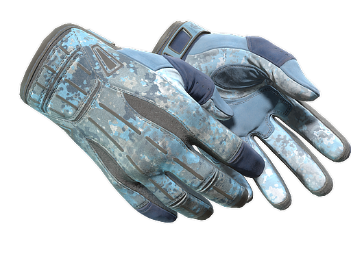 Buy CS2 gloves ★ Sport Gloves | Frosty (Well-Worn) skin