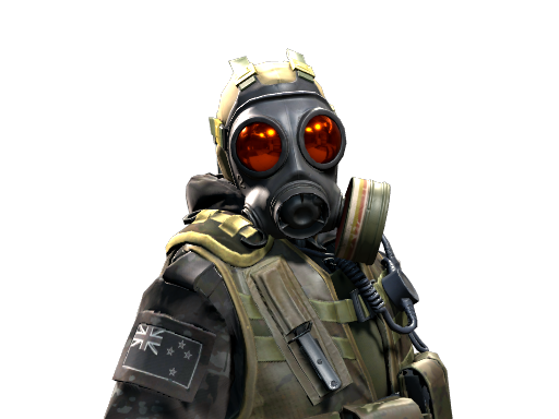 Buy CS2 agent D Squadron Officer | NZSAS skin