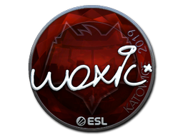 Buy CS2 sticker Sticker | woxic (Foil) | Katowice 2019 skin