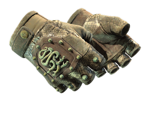Buy CS2 gloves ★ Hydra Gloves | Rattler (Battle-Scarred) skin