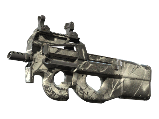 Buy CS2 smg Souvenir P90 | Ash Wood (Field-Tested) skin