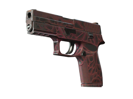 Buy CS2 pistol StatTrak™ P250 | Contaminant (Field-Tested) skin