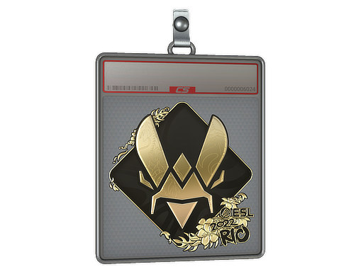 Buy CS2 charm Sticker Slab | Vitality (Gold) | Rio 2022 skin