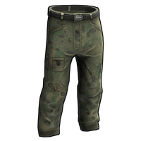 Buy Rust clothing Flashbacks Pants skin