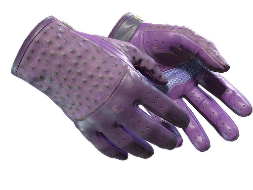 Buy CS2 gloves ★ Driver Gloves | Plum Quill (Well-Worn) skin