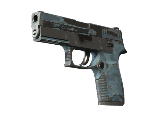 Buy CS2 pistol P250 | Forest Night (Battle-Scarred) skin