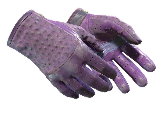 Buy CS2 gloves ★ Driver Gloves | Plum Quill (Battle-Scarred) skin